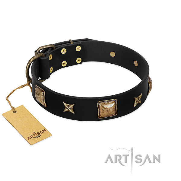 Leather dog collar of gentle to touch material with designer studs