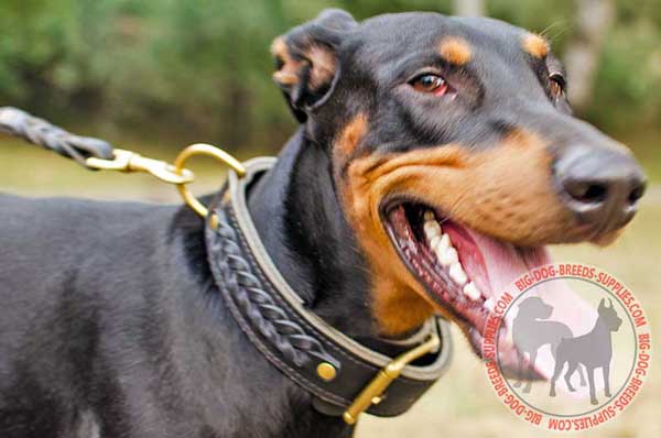 Durable Braided Leather Doberman Collar for Walking