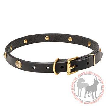 Black Leather Collar with Strong D-ring