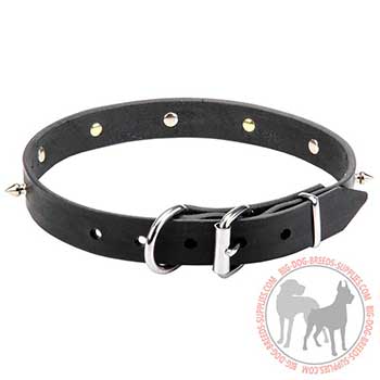 Black Leather Collar for Easy Adjustment