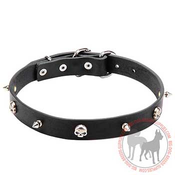 Leather Collar for Dog Walking in Style