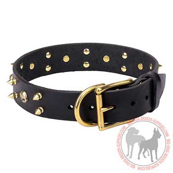 Studded Leather Dog Collar for Walking