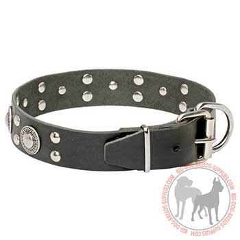 Black Leather Dog Collar with Strong Hardware