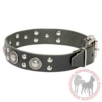 Black Leather Collar for Canine Walking