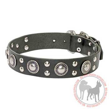 Leather Collar for Dog Walking in Style