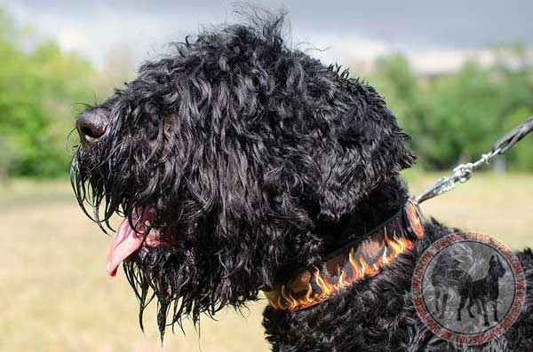 Black Russian Terrier Leather Canine Collar Accented with Fire Flames Illustration