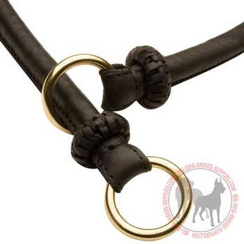 Choke dog collar with brass rings