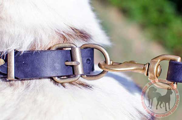 Brass Buckle and D-ring on Quality Leather Dog Collar
