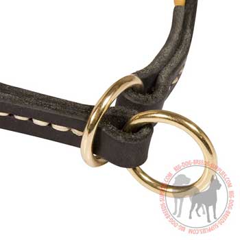 Rustproof Rings for Leash Connections