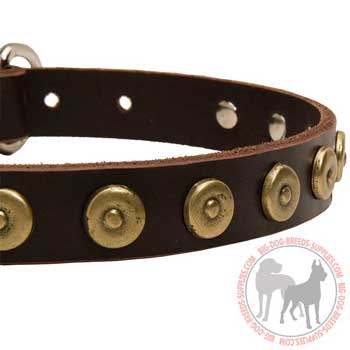 Brass Doted Circles on Leather Collar for Walking in Style