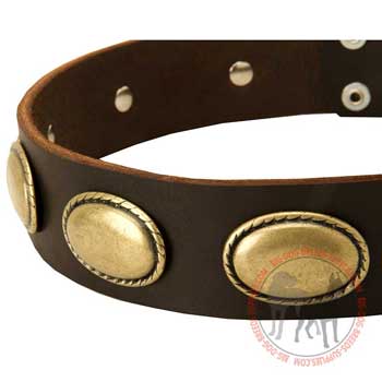 Gorgeous Oval Plates Attached to Leather Collar