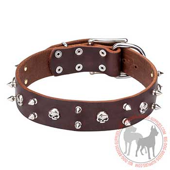 Brown Leather Dog Collar with Special Decoration