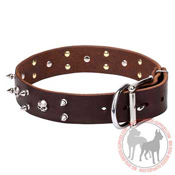 Brown Leather Dog Collar with Unique Decoration
