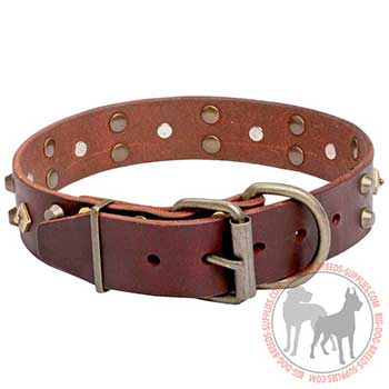 Leather Dog Collar for Walking