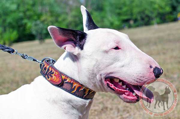 Leather Bull Terrier Collar Easy Adjustable