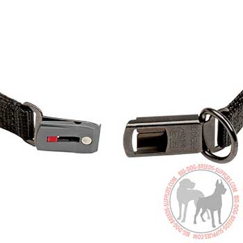 Firm Pinch Dog Collar with Secure Buckle