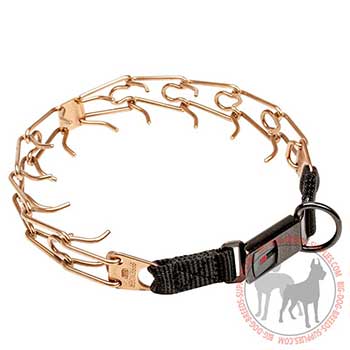 Awesome Dog Pinch Collar of Safe Material