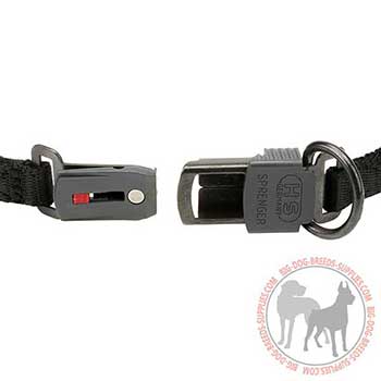 Firm Pinch Dog Collar with D-ring