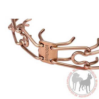 Efficient Dog Pinch Collar with 10 Prongs