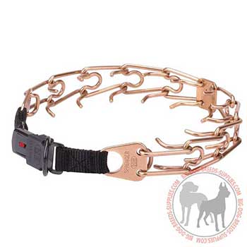Firm Pinch Dog Collar for Training