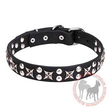 Leather Dog Collar with Amazing Design