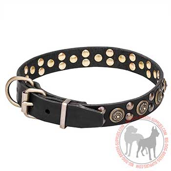 Leather Dog Collar with Chrome-plated Hardware