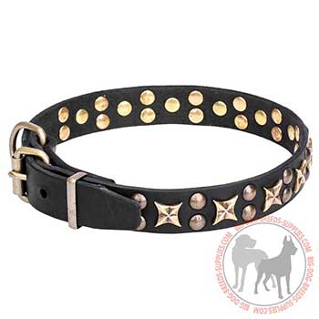 Leather Dog Collar with Superable Design