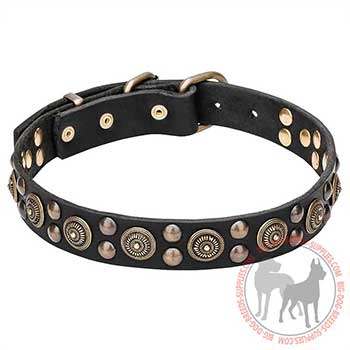 Leather Dog Collar with Charming Decoraions