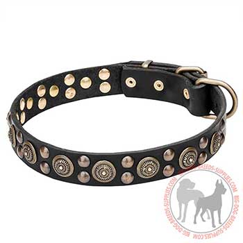 Leather Dog Collar with Riveted Studs