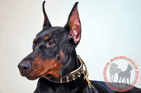 Spiked Leather Doberman Collar