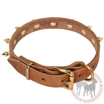 Dog Leather Collar with Rust Resistant Buckle and D-ring