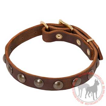 Dog Leather Collar with Rust Resistant Brass Studs