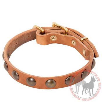 Dog Leather Collar for Obedience Training