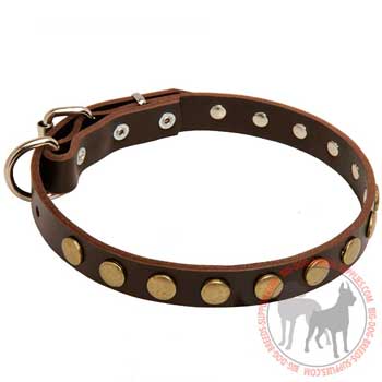 Dog Leather Collar for Stylish Activities