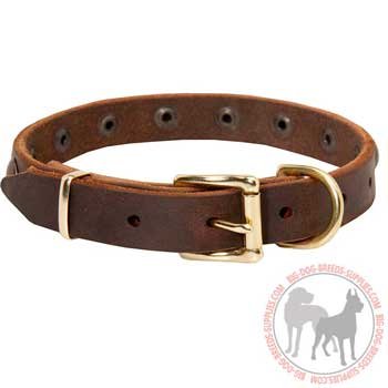 Dog Leather Collar with Rust Resistant Brass Rivets