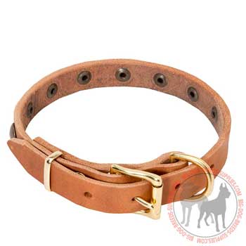 Dog Leather Collar with Rust Resistant Hardware