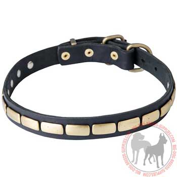 Dog Leather Collar with Rust Resistant Brass Plates