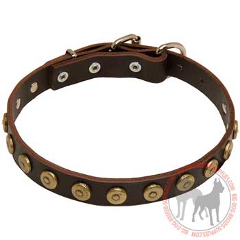 Dog Leather Collar with Riveted Circles