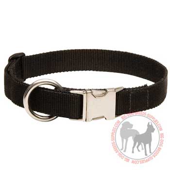 Nylon Collar for Dog All Weather Walking and Training