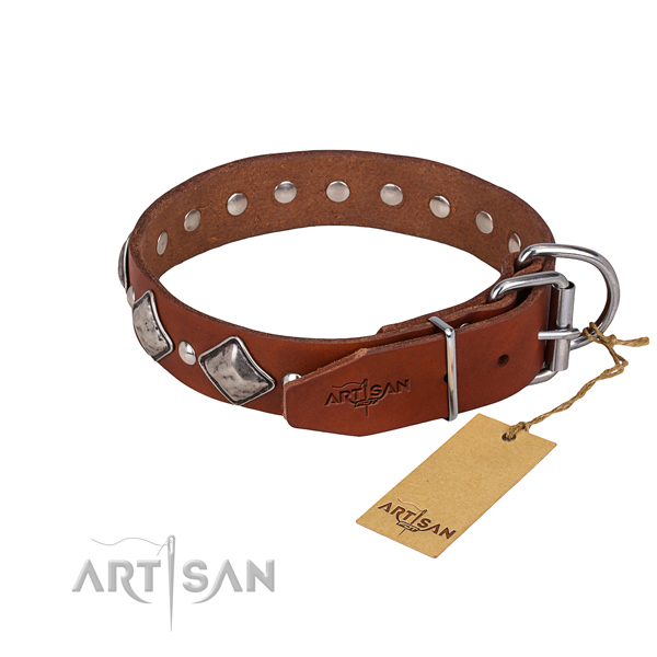 Heavy-duty leather dog collar with non-rusting fittings