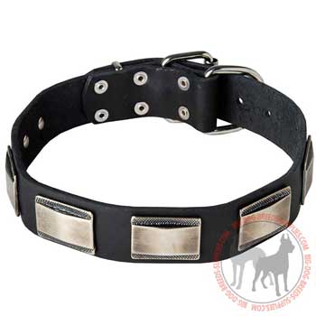 Dog collar with nickel plated decoration