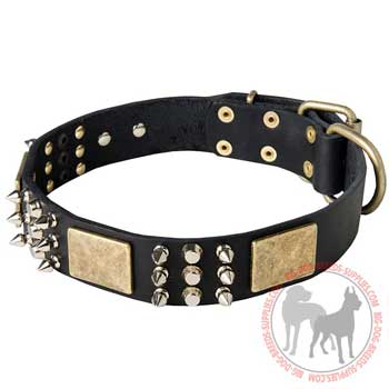 Dog collar with decoration of brass and nickel
