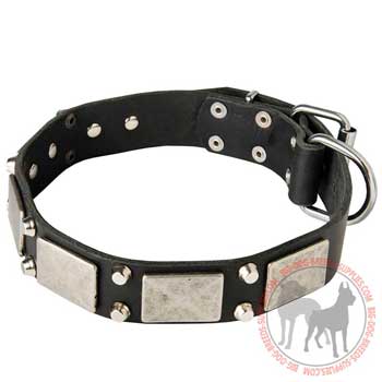 Adorned dog collar with riveted nickel plates