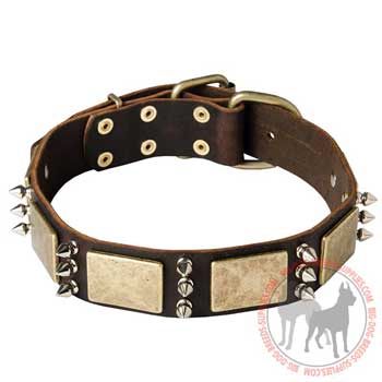 Skillfully decorated dog collar with vintage plates