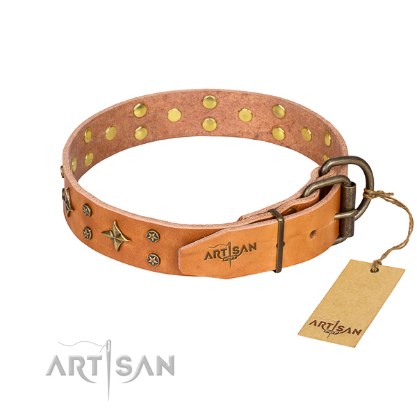 Walking full grain genuine leather collar with studs for your dog