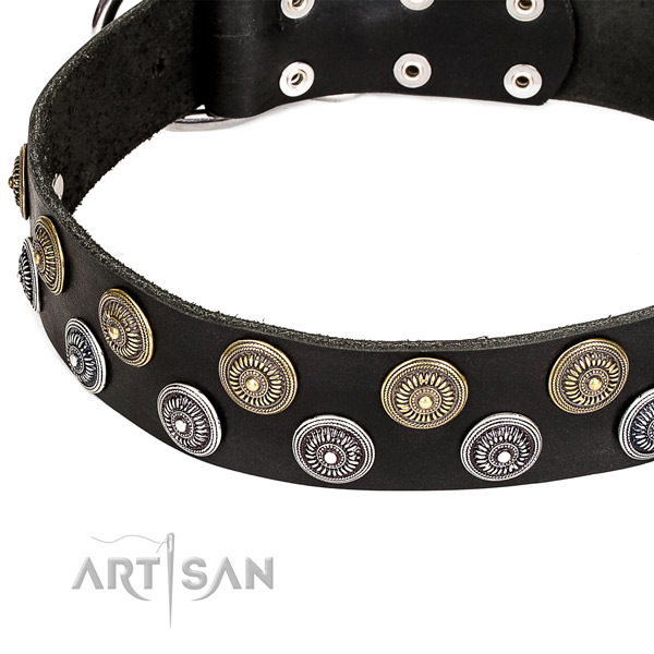 Genuine leather dog collar with impressive adornments
