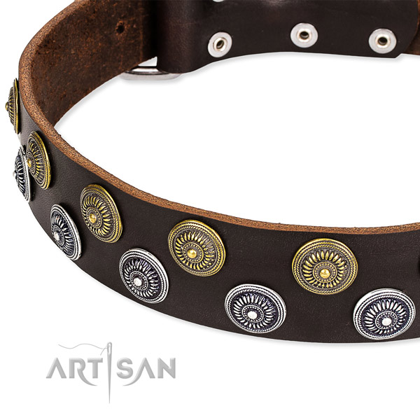 Genuine leather dog collar with unique studs