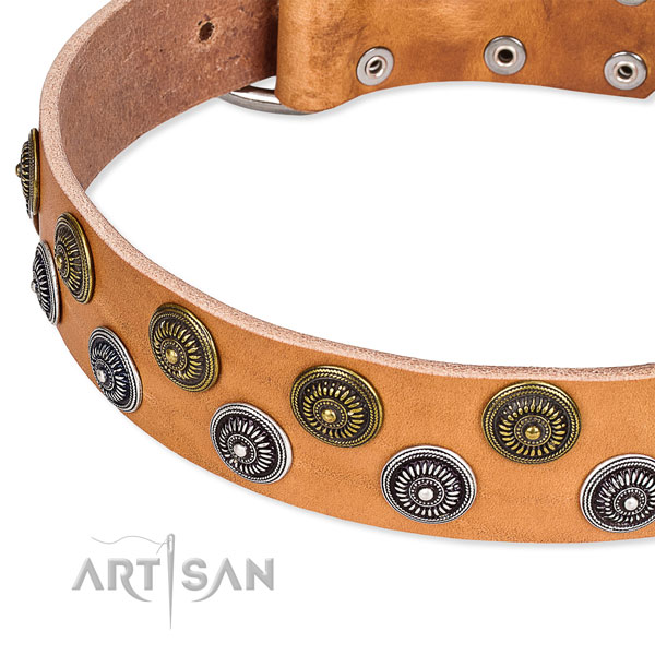 Genuine leather dog collar with unique studs