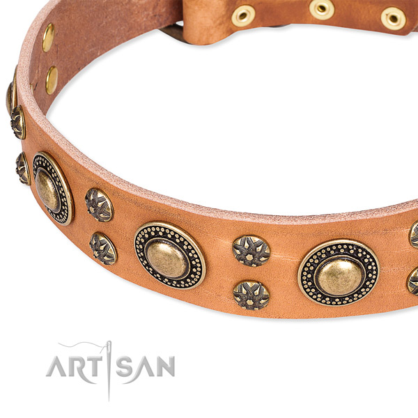 Leather dog collar with significant studs