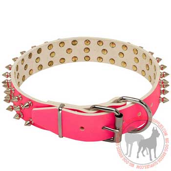 Dog leather collar fancy design